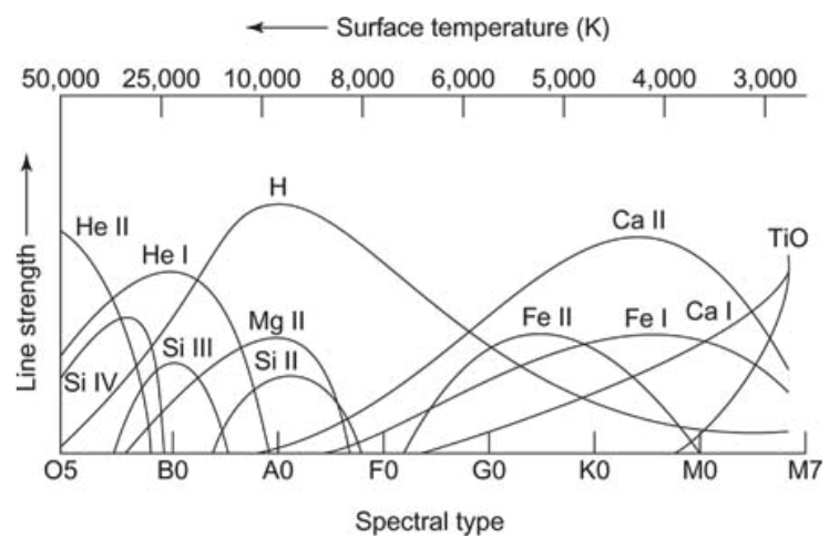 どの吸収線がどの温度で強くなるかを表す図。